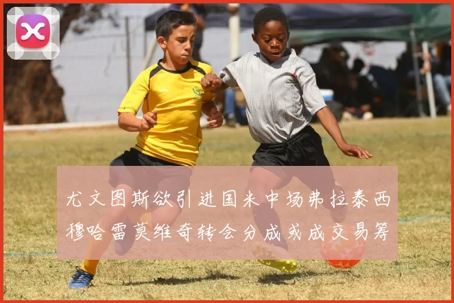 尤文图斯欲引进国米中场弗拉泰西穆哈雷莫维奇转会分成或成交易筹码