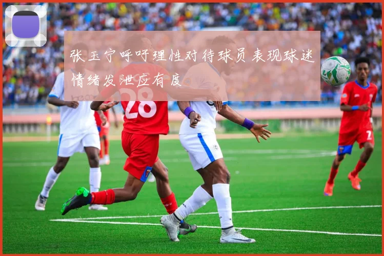 张玉宁呼吁理性对待球员表现球迷情绪发泄应有度