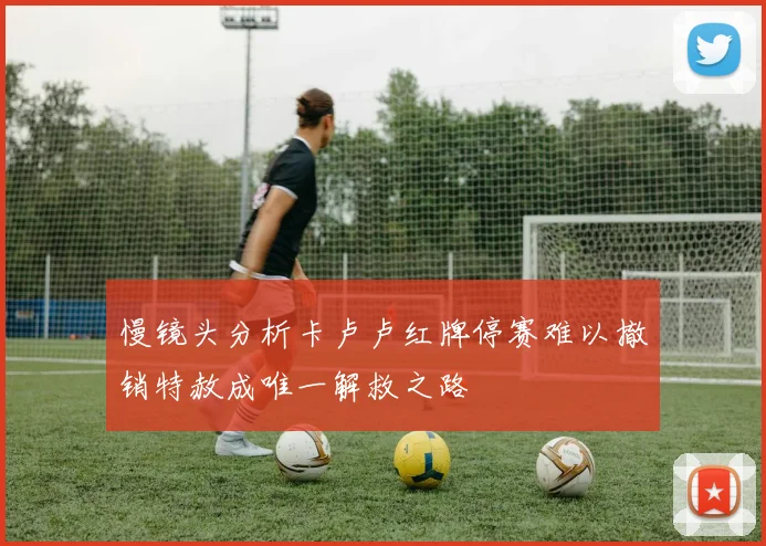 慢镜头分析卡卢卢红牌停赛难以撤销特赦成唯一解救之路