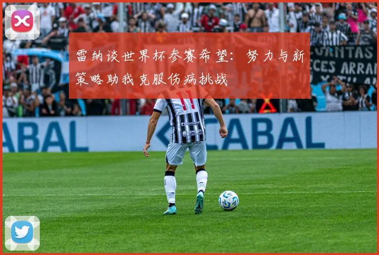 雷纳谈世界杯参赛希望：努力与新策略助我克服伤病挑战