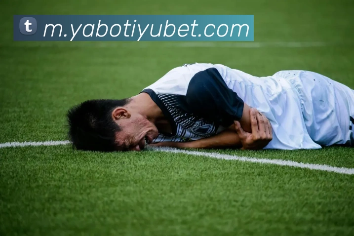 亚博体育APP 封面图